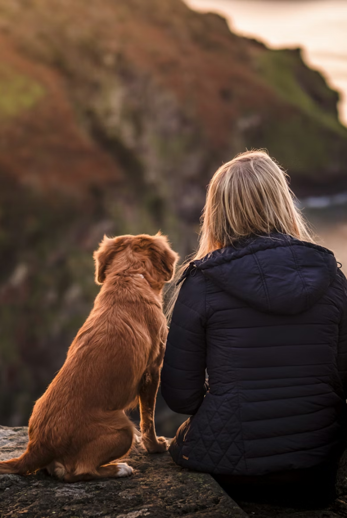 182549bb43e6ce40eeba221b17d7f1e5a9024431