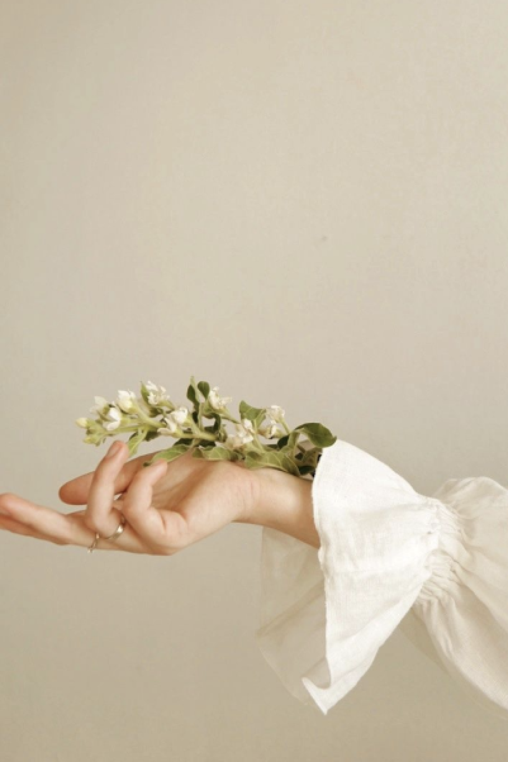 Screenshot 2026-02-25 at 4.59.26 PM