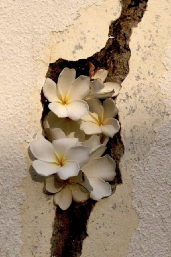 Screenshot 2026-02-26 at 6.14.05 AM