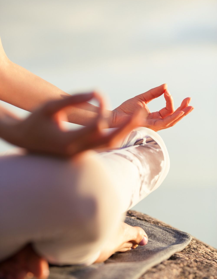 Wellness services in Tampa